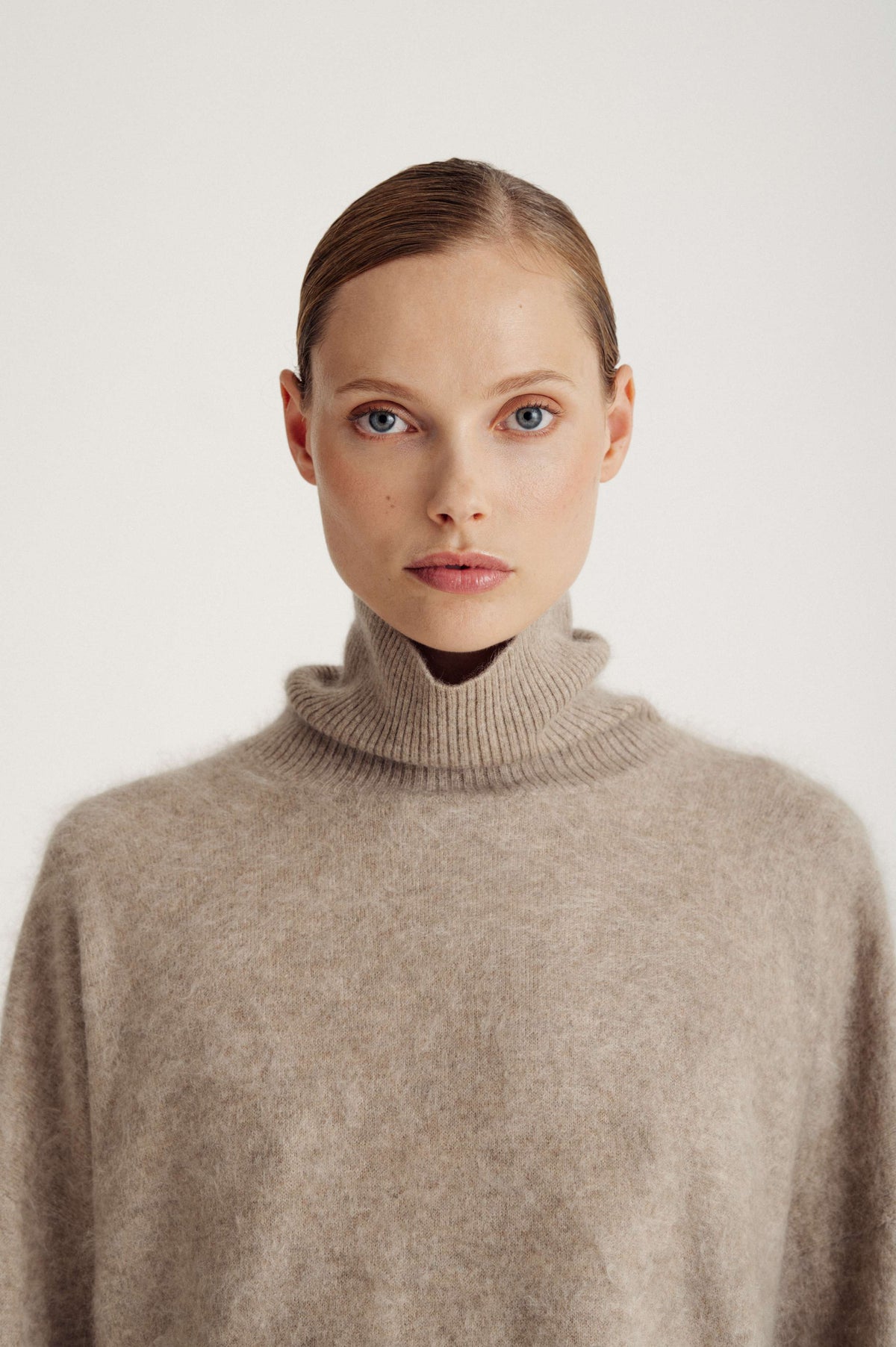 Davida Brushed Roll Neck Sweater Sweaters Mink