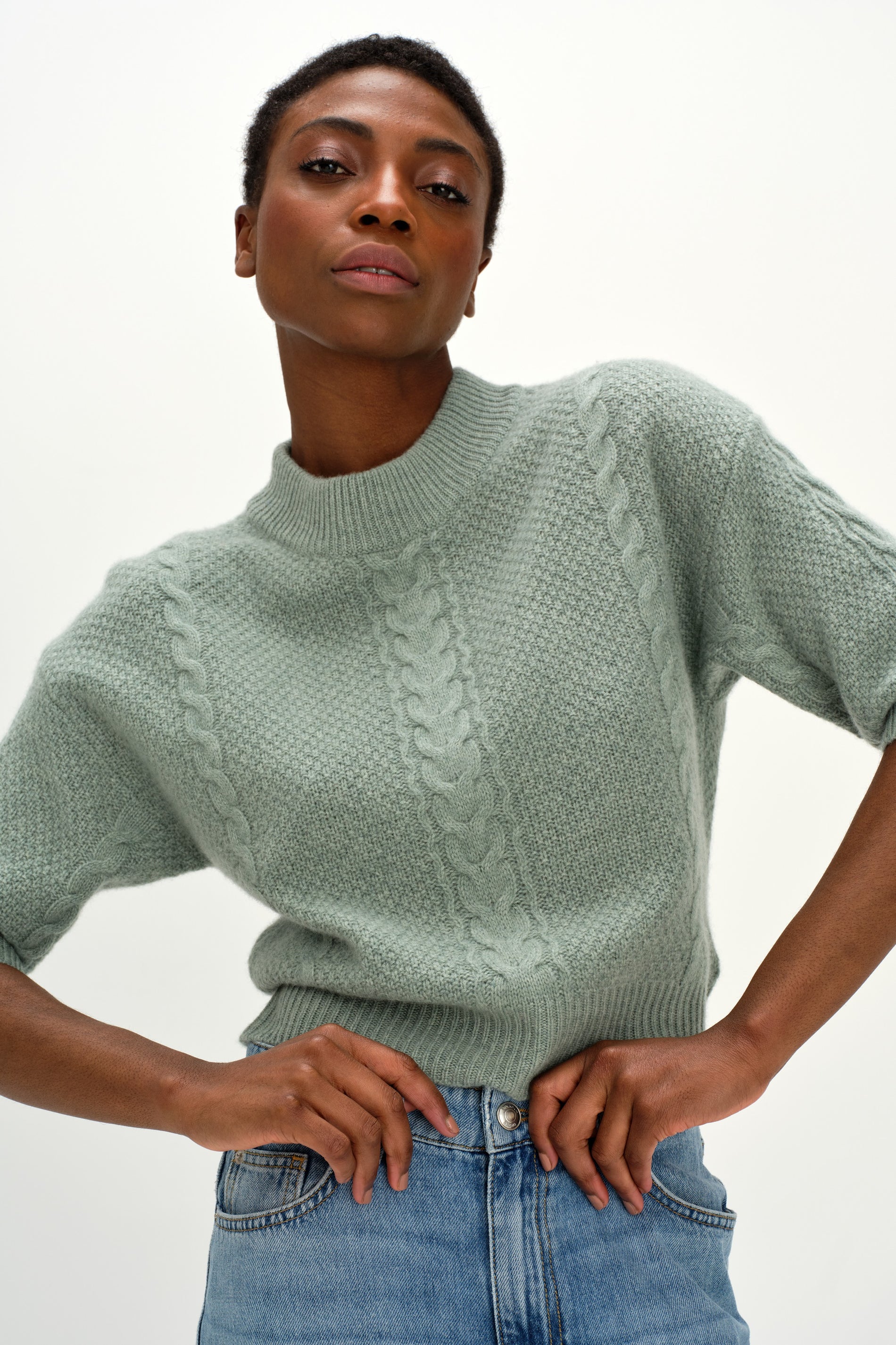 Davida Cable Short Sleeve Sweater Sweaters Sage
